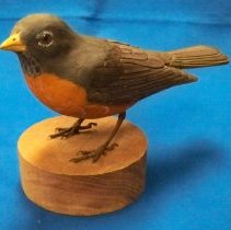 Robin-Leonard Erickson