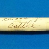 Veterinary pill pusher