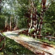Rural road scene