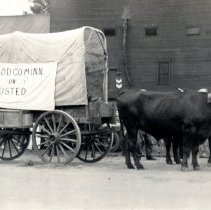 "McLeod Co. Minn or Busted" covered wagon