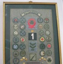 Framed Girl Scout Badges
