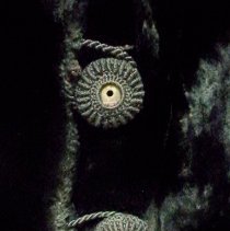 Plush coat button detail