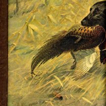 Les Kouba signature detail