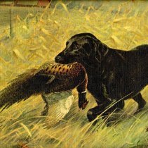 Kouba print "Black Labrador"