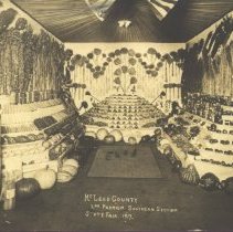 McLeod County exhibit, State Fair, 1917