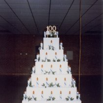 100 Year Cake-100th reunion of Stevens Seminary