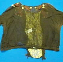 Sheer brown bodice/waist