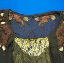Sheer brown bodice/waist