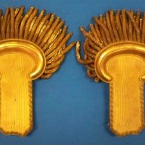 Officers gold bullion epaulets