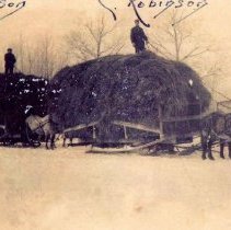 Loaded horse-drawn hay sleighs