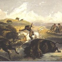Indians Hunting the Bison