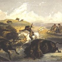 Indians Hunting the Bison