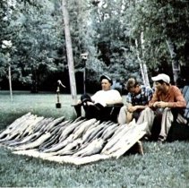 Men and large catch of fish