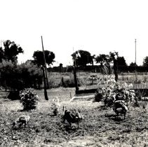 Sam Anderson game preserve