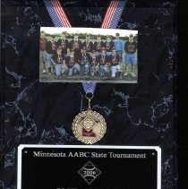 Baseball plaque award