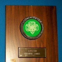 1993 Contributor plaque