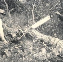 Norman & Eldor Mathews sawing a tree in tornado cleanup, 1952