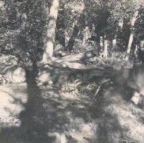 Eunice Gaines, Tornado 1952