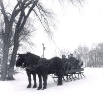 Cutlar Family Cutter Hitched to Horses