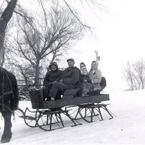 Cutlar Family Cutter