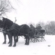 Cutlar Family Cutter with Horses