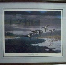 "Cans in Bush Country"