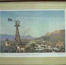 "Antelope in Ranch Country"