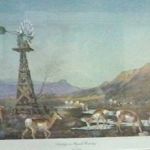 "Antelope in Ranch Country"