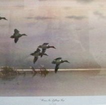 "Cans in Lifting Fog"