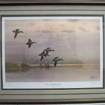 "Cans in Lifting Fog"