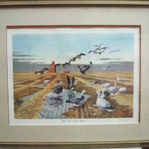 "Blues, Snows, Rain & Barley"