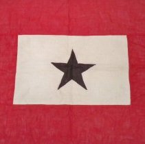 Blue star service flag