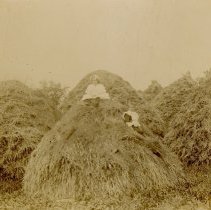 Children on Hay