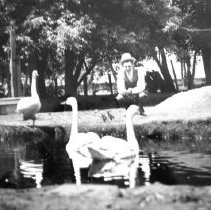 Lyle Schoeneman feeding trumpeter swans & waterfowl