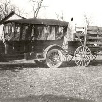 Automobile Pulling Cattle Trailer with Bull