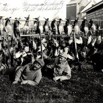 Duck hunters & quarry