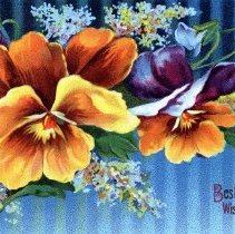 Best Birthday Wishes