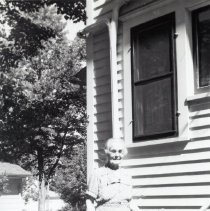 Anna Urban Hoodecheck