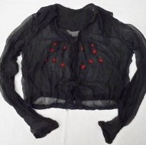 Sheer black long sleeve blouse