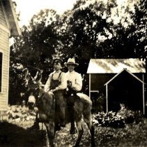 Unidentified & Harlow H. Bonniwell, Jr. on donkey