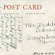 Baby chicks, reverse