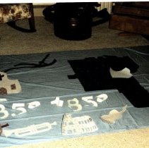 Brownton, Minnesota quilt