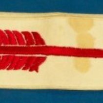 Boy Scout should sash