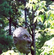 "Through the Eyes of Taoyateduta"