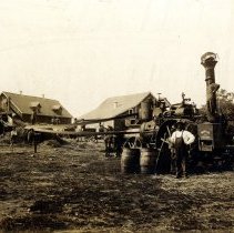 Harvesting at Westrup Farm