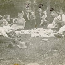 Group of men, women and children at a picnic