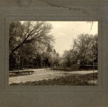 Flowering Trees & Girl