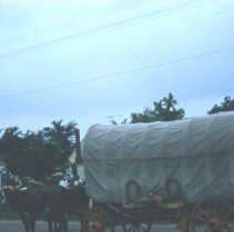 1957 Brownton, MN centennial parade/covered wagon & oxen