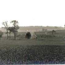 Farm scene near Winsted, MN