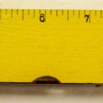 Novelty combination ruler and level